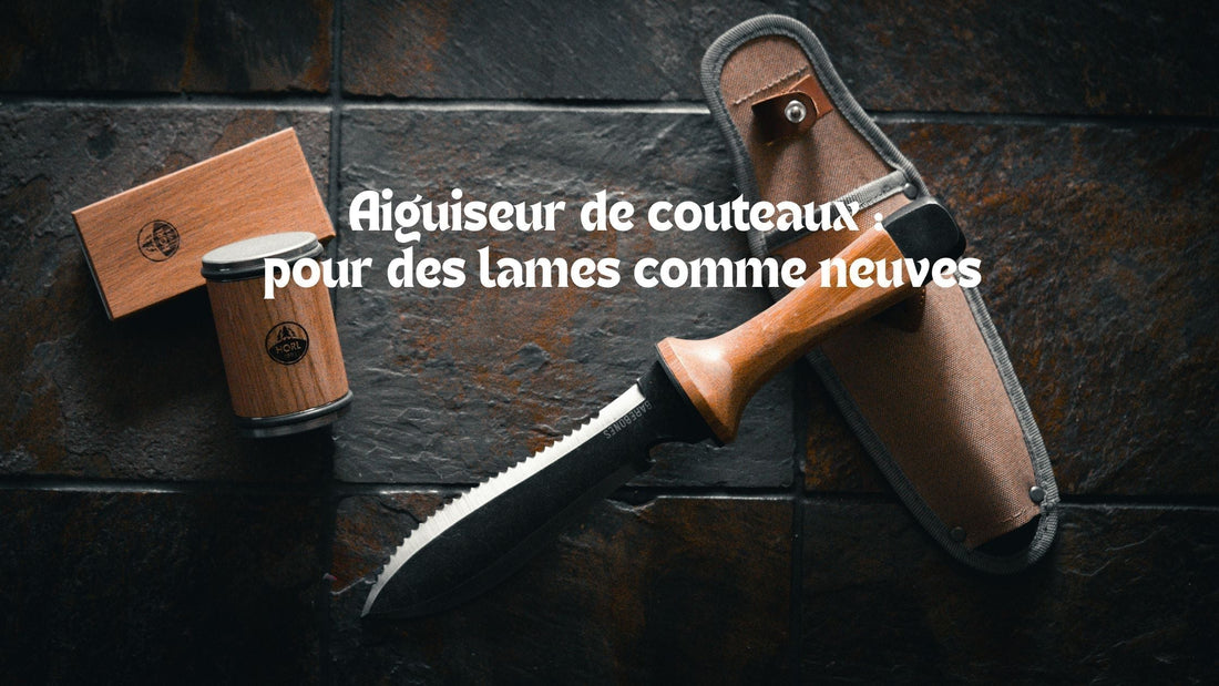 QUEL EST LE MEILLEUR AIGUISEUR À COUTEAUX ?