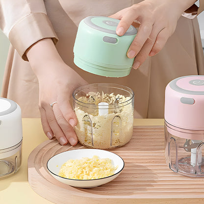 mini hachoir pour mixer ail en un instant